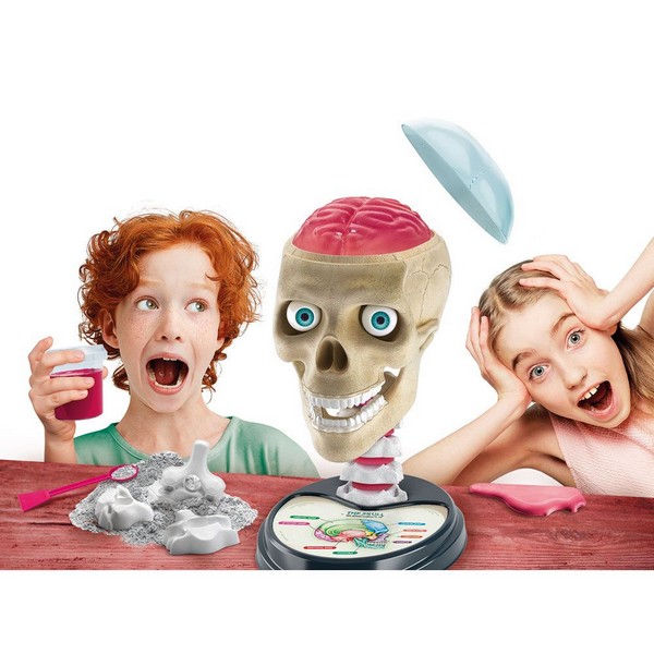 Продукт CLEMENTONI SCIENCE PLAY - Забавна анатомия  - 0 - BG Hlapeta